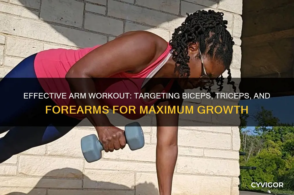 how to hit all arm muscles