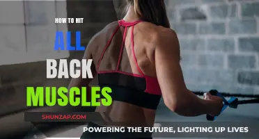 Unlocking Your Back's Potential: A Guide to Hitting All Muscles