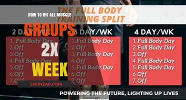 Maximize Gains: Efficient Full-Body Workouts Twice Weekly