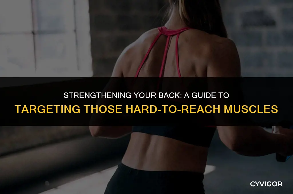how to hit back muscles