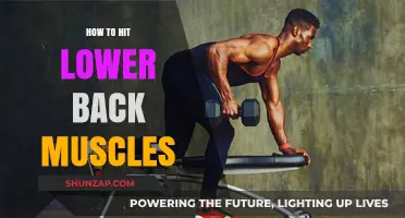 Strengthening Your Lower Back: A Guide to Targeted Muscle Training