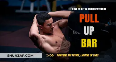 Build Strength Anywhere: Effective Muscle-Building Without a Pull-Up Bar