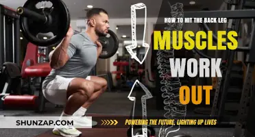 Effective Back Leg Muscle Workouts: Targeting Hamstrings and Glutes