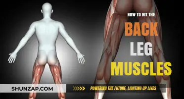 Unlocking Strength: Targeting Your Back Leg Muscles for Optimal Fitness