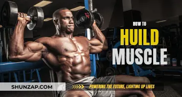 Building Muscle: Effective Strategies for Your Fitness Journey