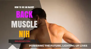 Effective Ways to Ice an Injury: Back Muscle Relief