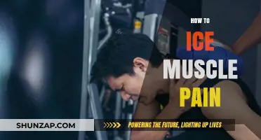 Effective Ice Therapy Techniques to Relieve Muscle Pain and Soreness