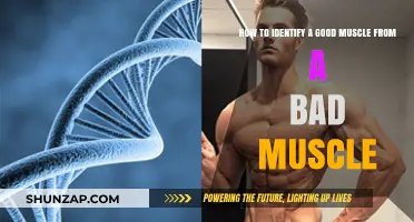 Good vs. Bad Muscles: Key Traits to Spot the Difference
