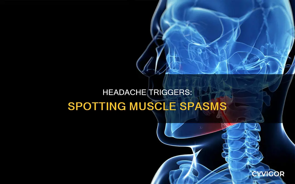 how to identify a muscle spasm causing a headache