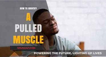 Recognizing a Pulled Muscle: Symptoms, Causes, and Quick Identification Tips