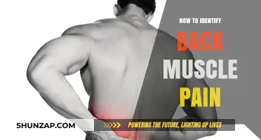 Recognizing Back Muscle Pain: Causes, Symptoms, and Early Detection Tips