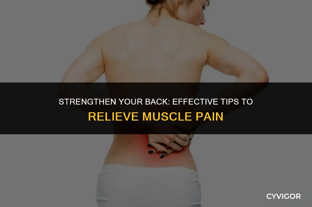 how to improve back muscle pain