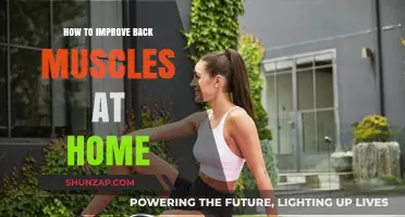 Strengthen Your Back: Effective Home Exercises for Muscle Improvement