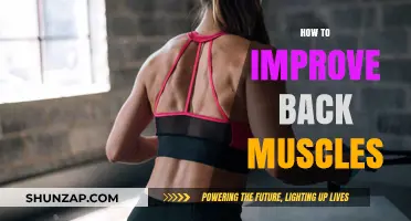 Strengthen Your Back: A Guide to Building Powerful Muscles