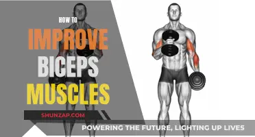 Building Biceps: Strategies for Strength and Size
