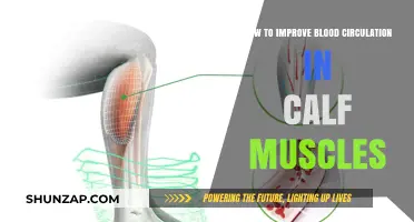 Boosting Blood Flow: Effective Tips for Calf Muscle Circulation