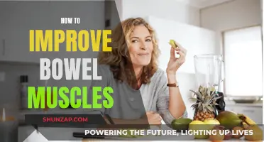 Improving Bowel Muscle Function: Tips for Better Health
