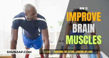 Brain Power: Simple Tips to Strengthen Your Mind