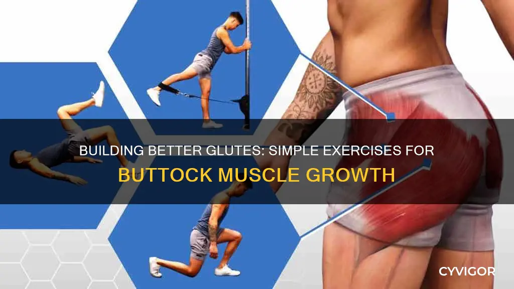 how to improve buttock muscles