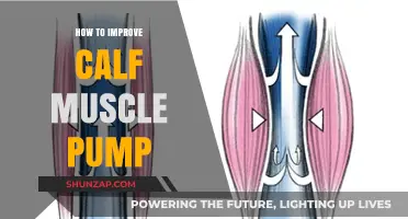 Boost Your Calf Muscle Pump: Effective Strategies for Fitness Enthusiasts