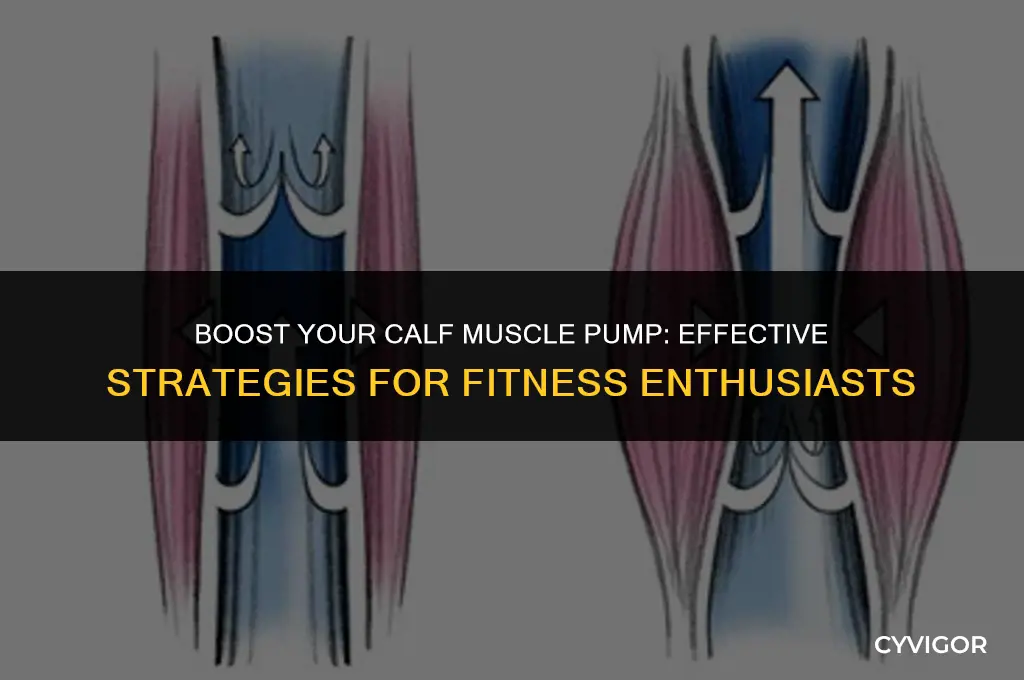 how to improve calf muscle pump