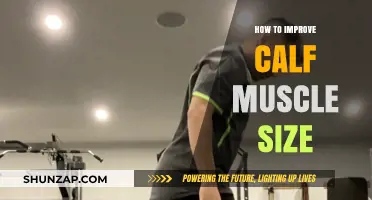 Effective Strategies to Enhance Calf Muscle Development