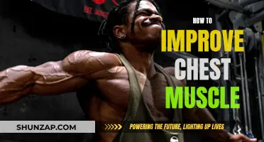 Build a Powerful Chest: Ultimate Muscle-Building Strategies