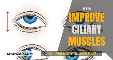 Enhancing Ciliary Muscles: Tips for Eye Health and Focus