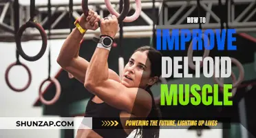 Develop Broad Deltoids: Workout Tips for Shoulder Gains