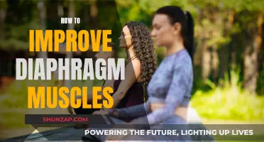 Strengthen Your Diaphragm: Simple Exercises for Better Breathing