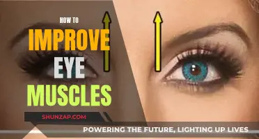 Strengthening Eye Muscles: Simple and Effective Techniques for Improvement