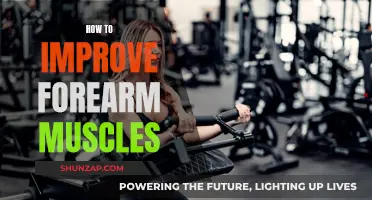 Building Forearm Muscles: Strategies for Strength and Growth