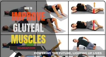 Enhancing Gluteal Muscles: Effective Strategies for Optimal Results