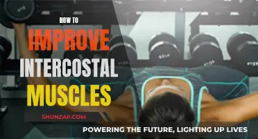 Improving Intercostal Muscles: Breathing and Movement Techniques for Power