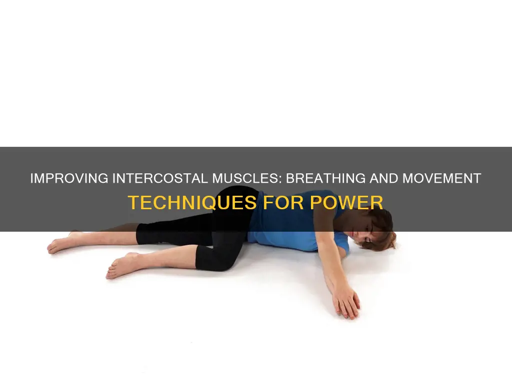 how to improve intercostal muscles