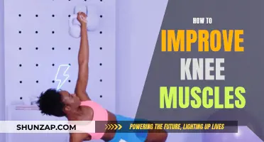 Building Knee Strength: Exercises to Empower Your Joints