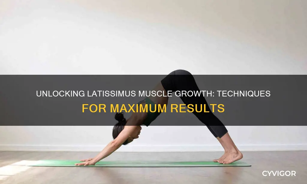 how to improve lats muscles