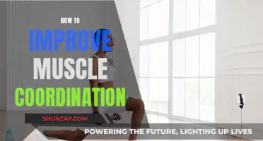 Improving Muscle Coordination: Techniques for Better Physical Control