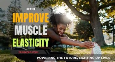 Improve Muscle Elasticity: Tips for Greater Flexibility and Performance