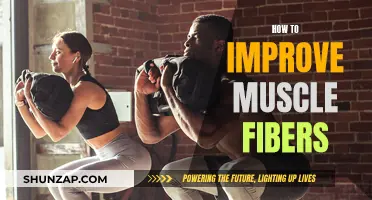 Building Muscle Fibers: Strategies for Strength and Growth