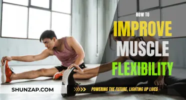 Improve Muscle Flexibility: Tips for Greater Range of Motion