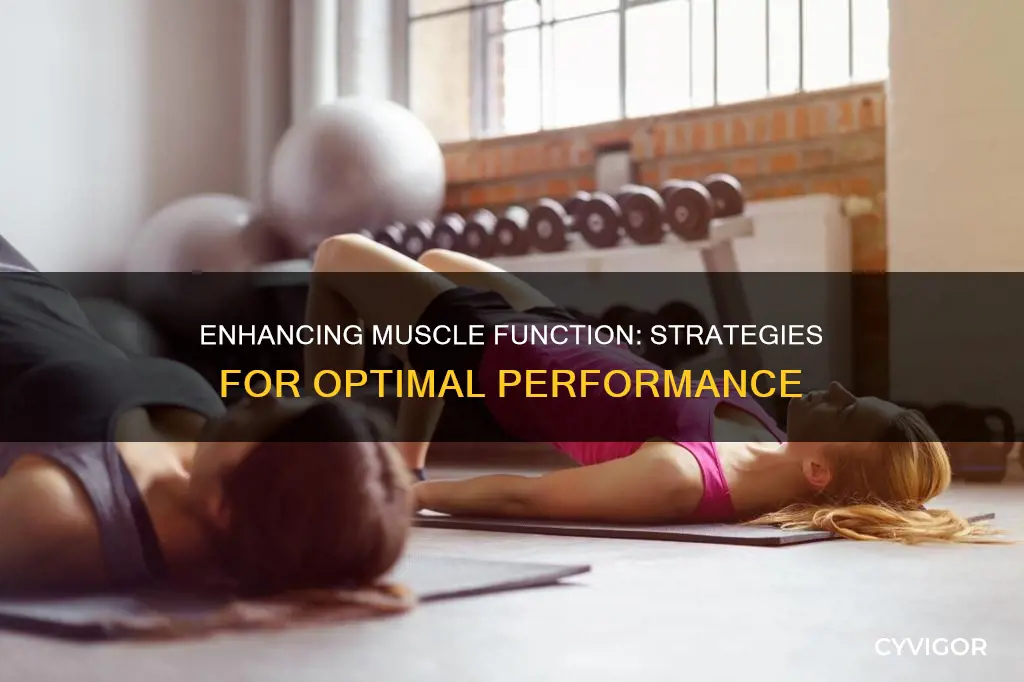 how to improve muscle function