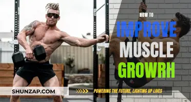 Maximize Muscle Growth: Strategies for Effective Training and Results