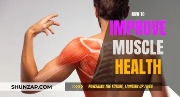 Improving Muscle Health: Tips for Strength and Wellness