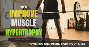 Maximizing Muscle Hypertrophy: Strategies for Optimal Growth