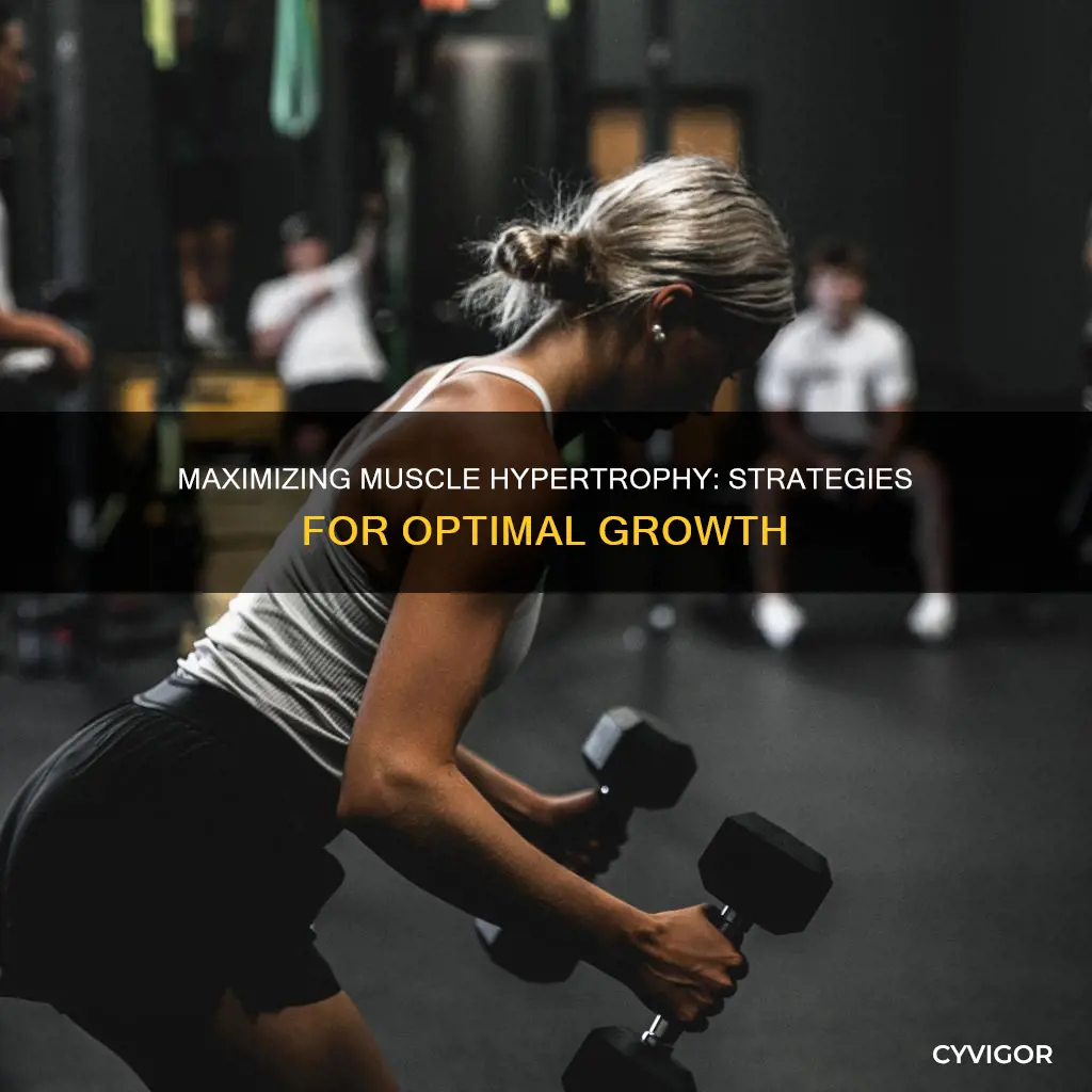 how to improve muscle hypertrophy