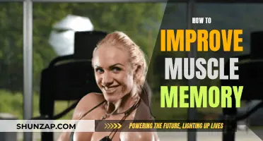 Enhancing Muscle Memory: Techniques for Optimal Performance