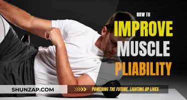 Improve Muscle Pliability: Techniques for Better Flexibility and Performance