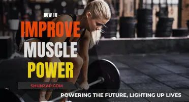 Build Muscle Power with These Simple Strategies