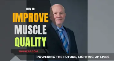 Building Muscle Quality: Strategies for Strength and Definition
